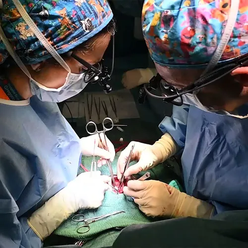 AI in operatiekamers leidt tot stortvloed aan medische missers