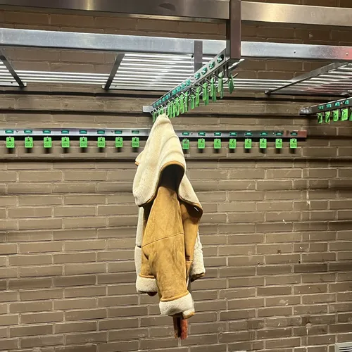 Ik heb een monstrueuze kater