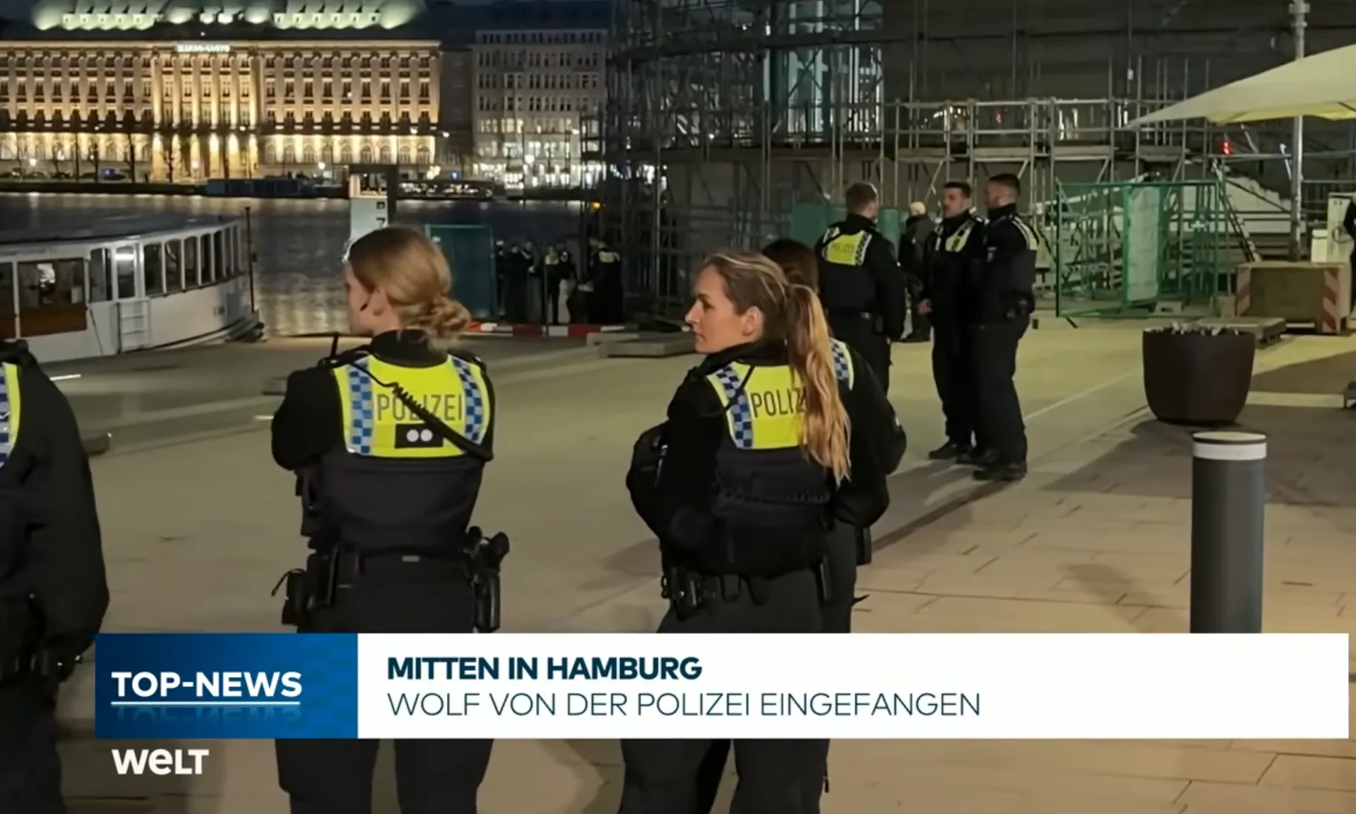 Afbeelding van Wolf valt vrouw aan in Hamburg
