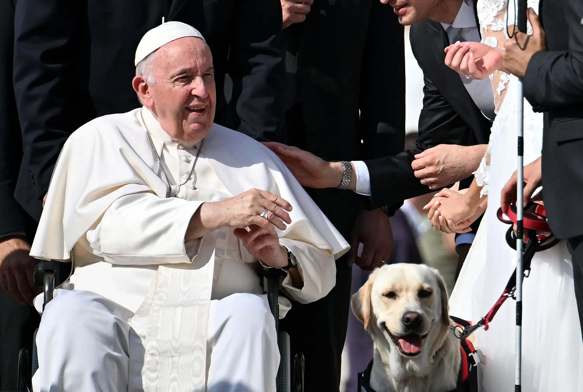 Afbeelding van Paus Franciscus hield van dieren