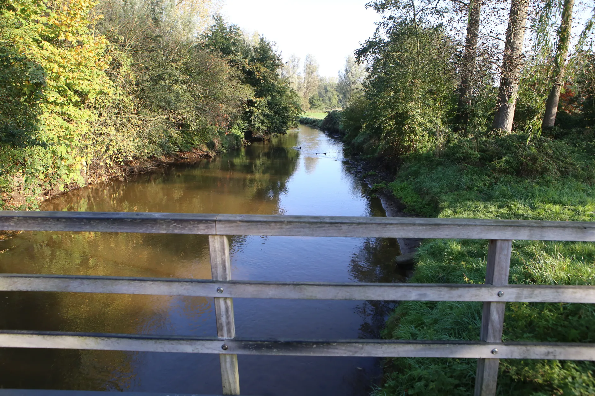 Afbeelding van Vier maanden wachten is geen hulp. Niet als je probeert te ontsnappen