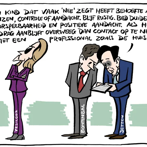 Partijleiders D66 en CDA zoeken middel tegen saboterende Yesilgöz