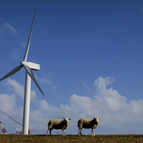 Geef bedrijven de ruimte om hun eigen energie op te wekken