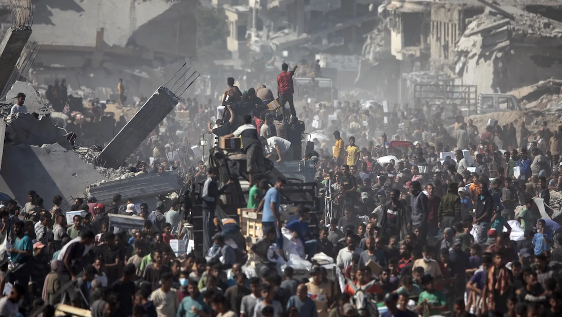 Afbeelding van Leven en volhouden in een tijd van verwoesting