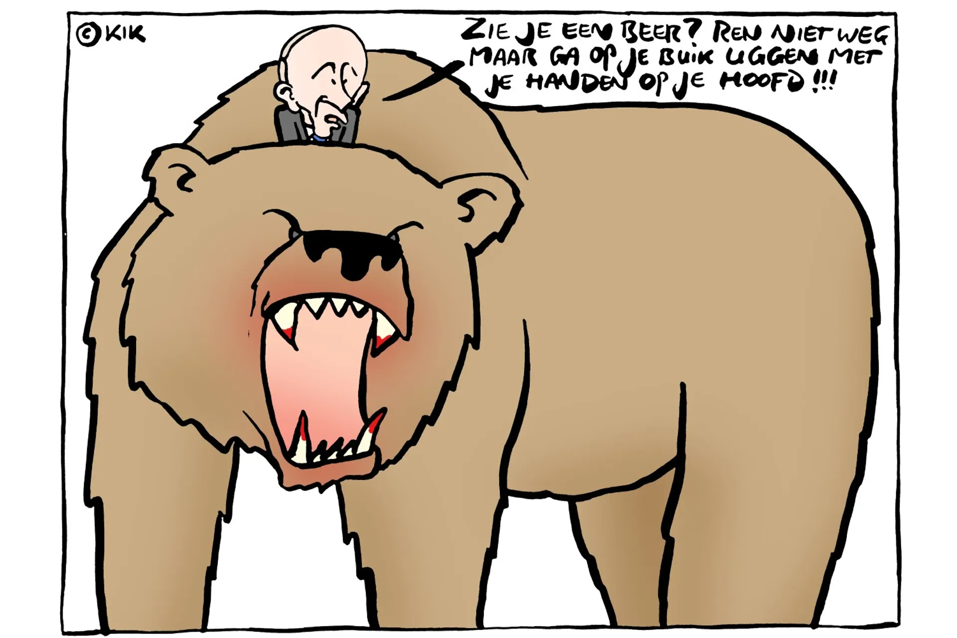 Afbeelding van Hoe je te gedragen bij een confrontatie met een beer