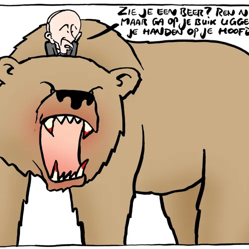 Hoe je te gedragen bij een confrontatie met een beer
