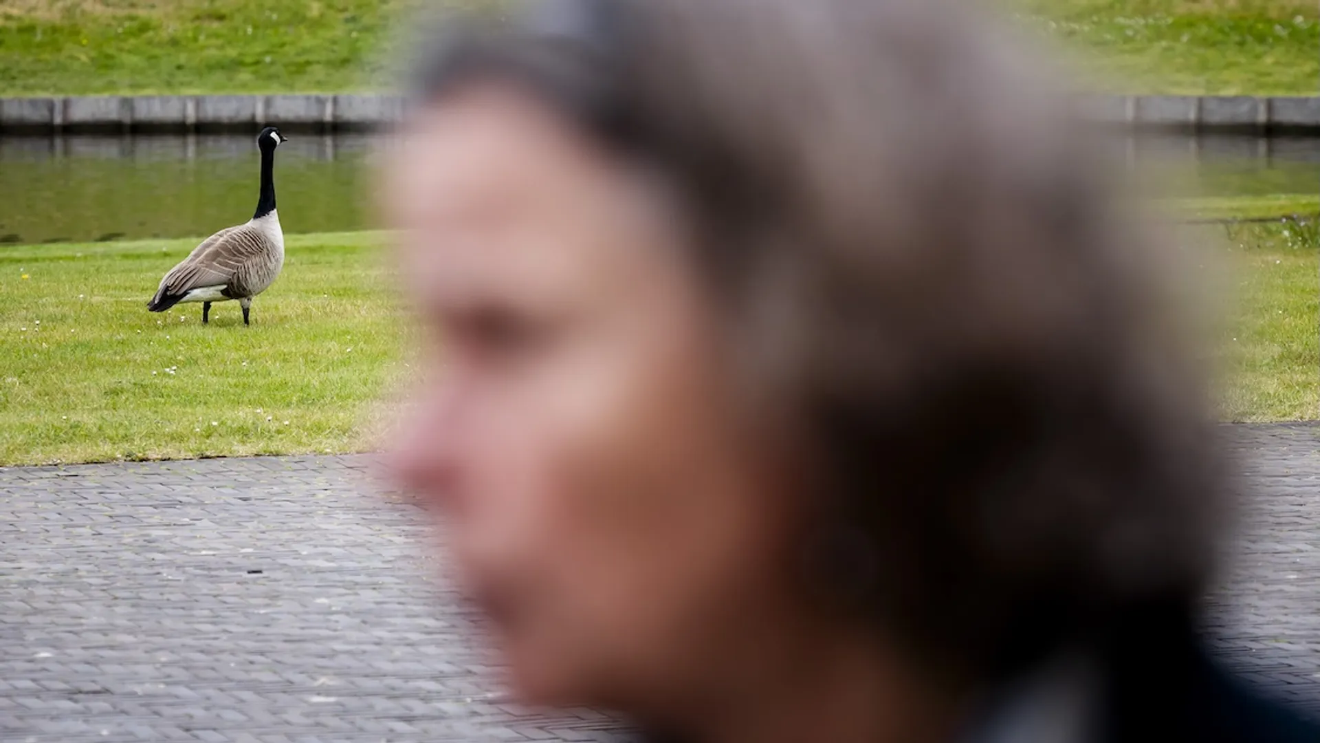 Afbeelding van Ambtenaren bedanken vrijwilligers via advertentie na horkerige weigeractie minister Faber