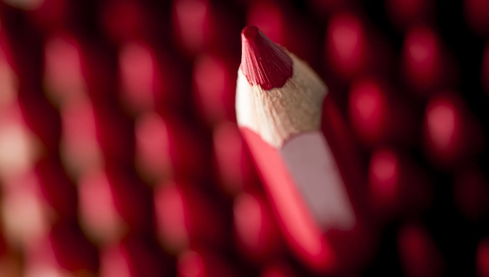 Afbeelding van Stem, als daad van verzet