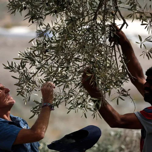 Knoop zoveel mogelijk banden aan in Israël én de Palestijnse gebieden