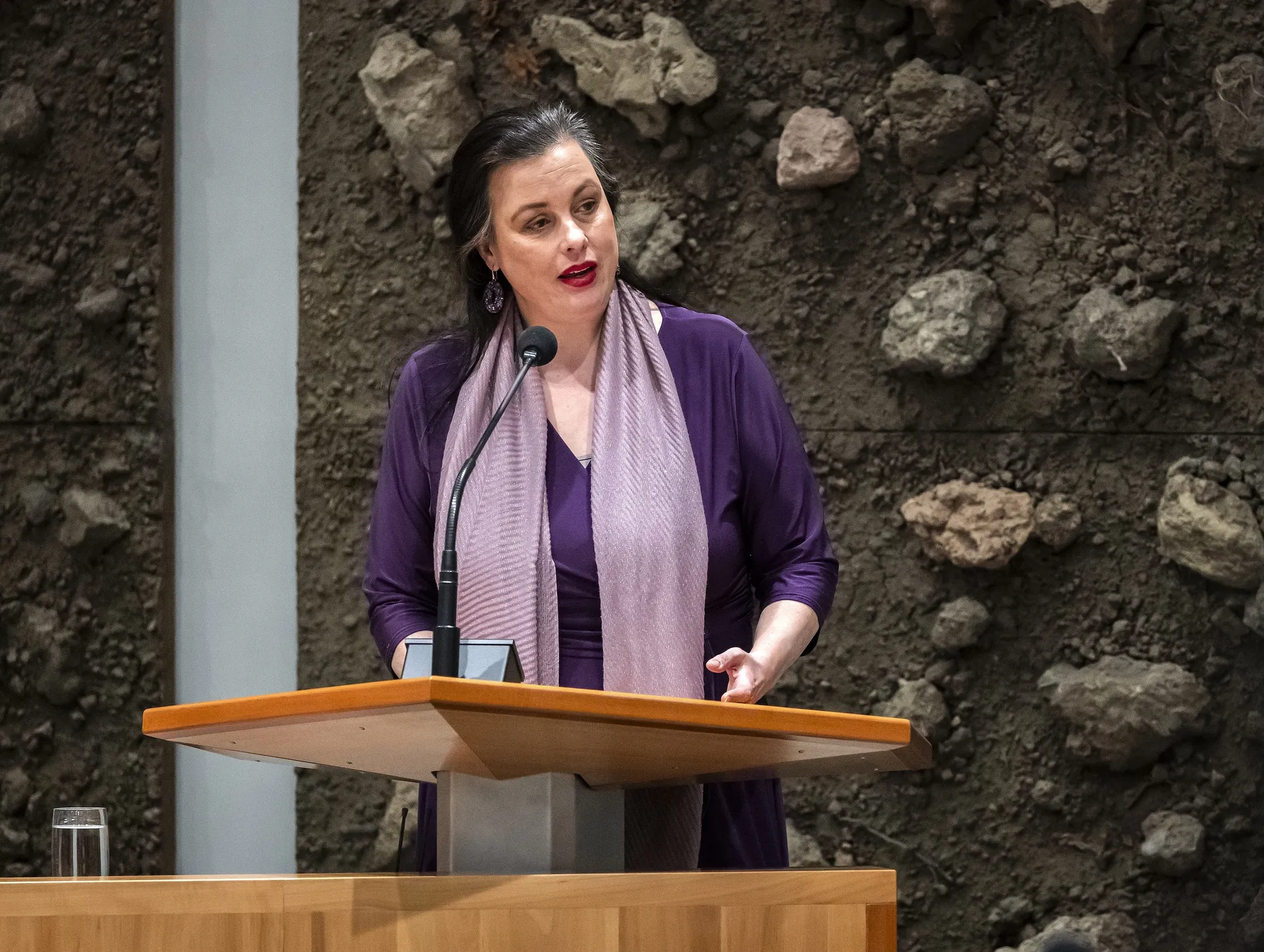 Afbeelding van Een kwartier pauze in de Tweede Kamer en ineens is volgens sommige politici de democratie in gevaar