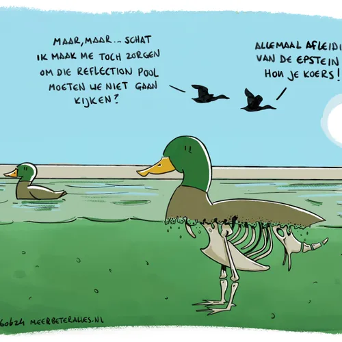 Laat je niet afleiden