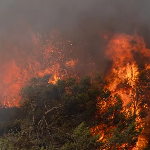 Waar blijven de (inter)nationale crisiscomités tegen klimaatverandering en voor behoud van de natuur?