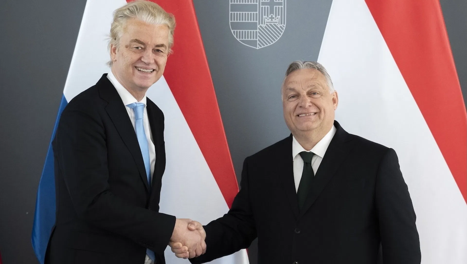 Afbeelding van Wilders' Geheugenministerie