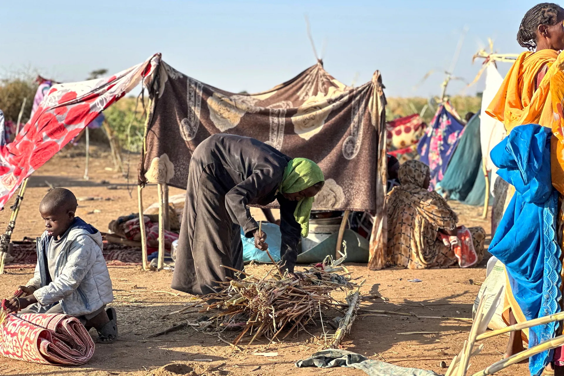 Afbeelding van Stel sancties in tegen de Verenigde Arabische Emiraten om Darfur