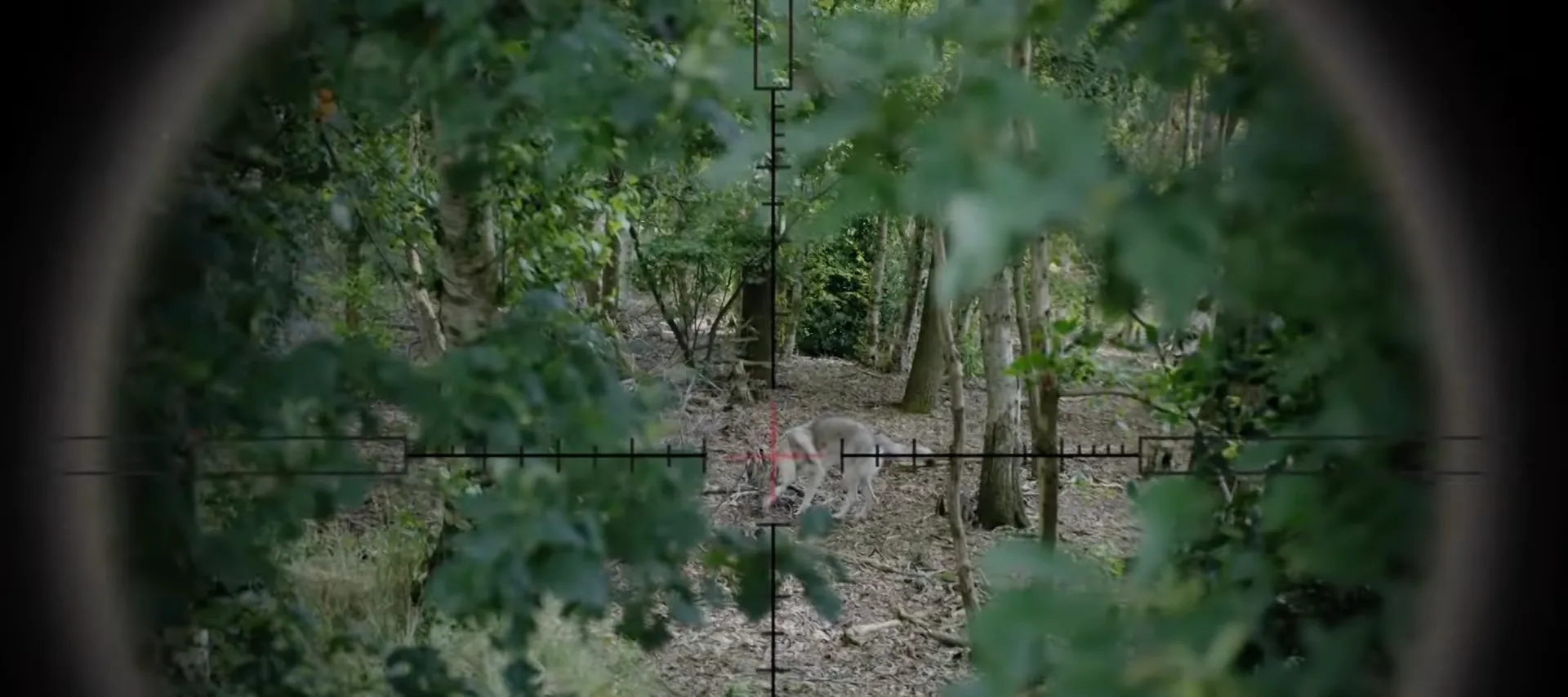 Afbeelding van Is ‘Woeste Grond’ werkelijk een grote poel des verderfs?