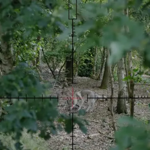 Is ‘Woeste Grond’ werkelijk een grote poel des verderfs?