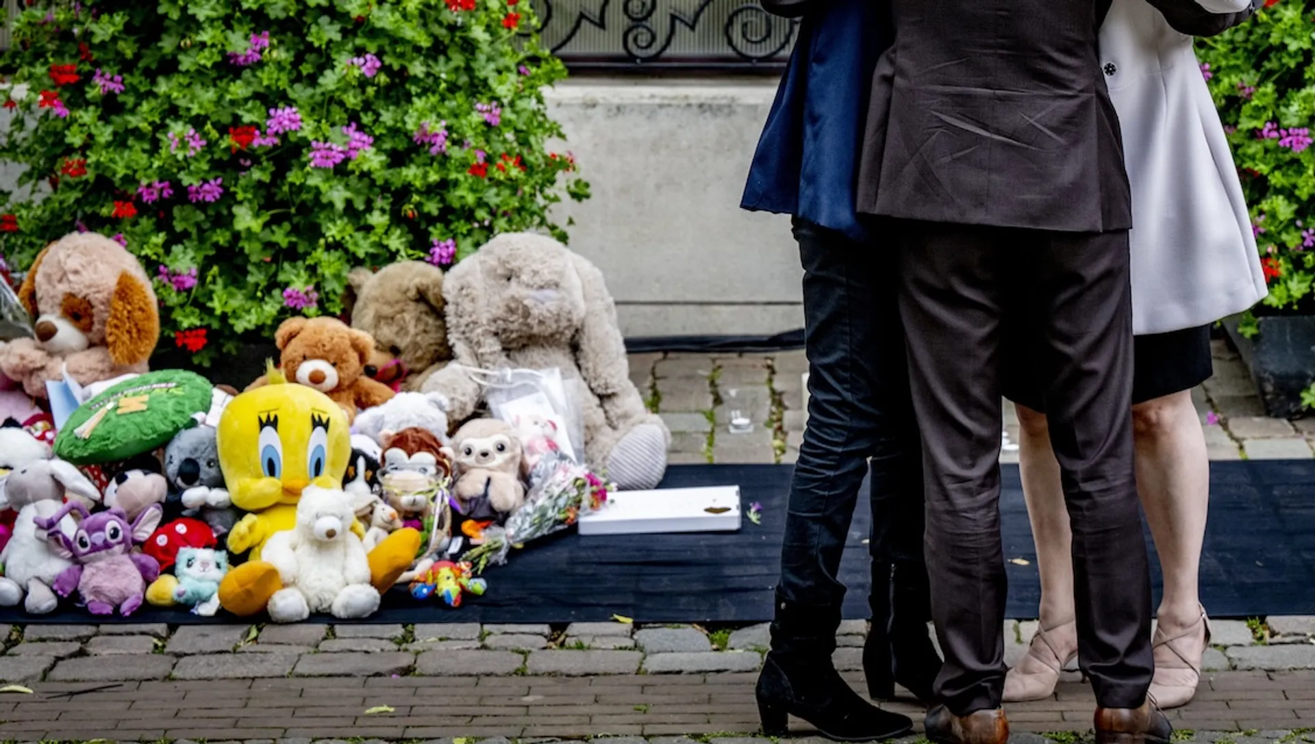 Afbeelding van Onacceptabele misstanden bij de bescherming van kinderen