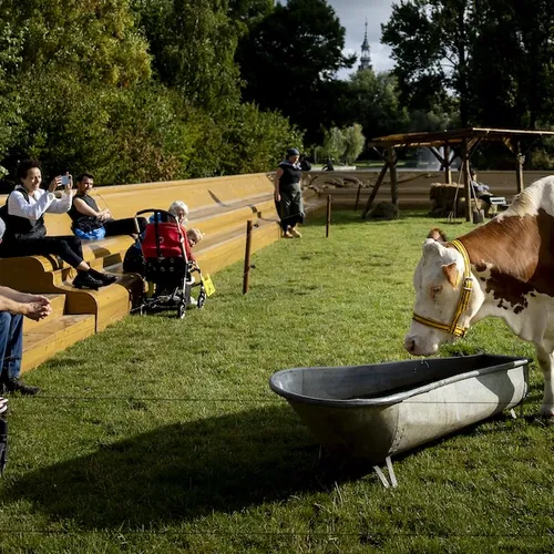 Schandalige reclame met dieren in Amsterdams park, vermomd als kunstproject