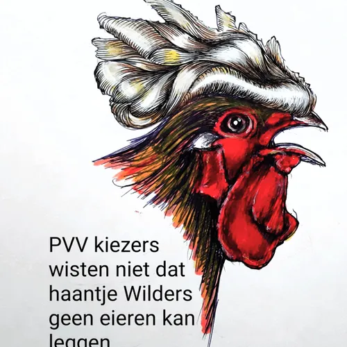 Wilders krijgt niets voor elkaar