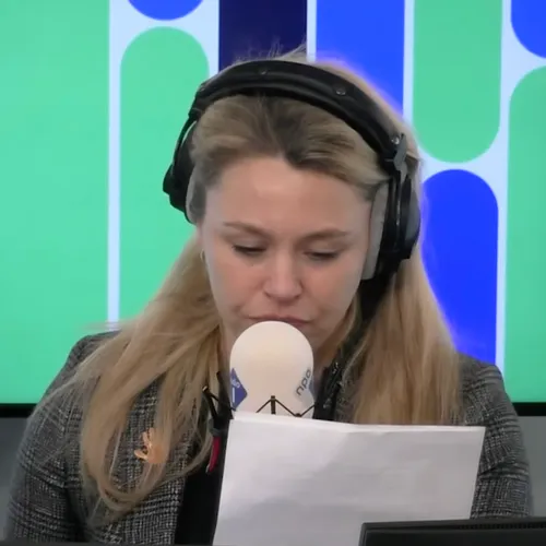 ‘Nederland verandert in de Handmaid’s Tale achter de dijken’