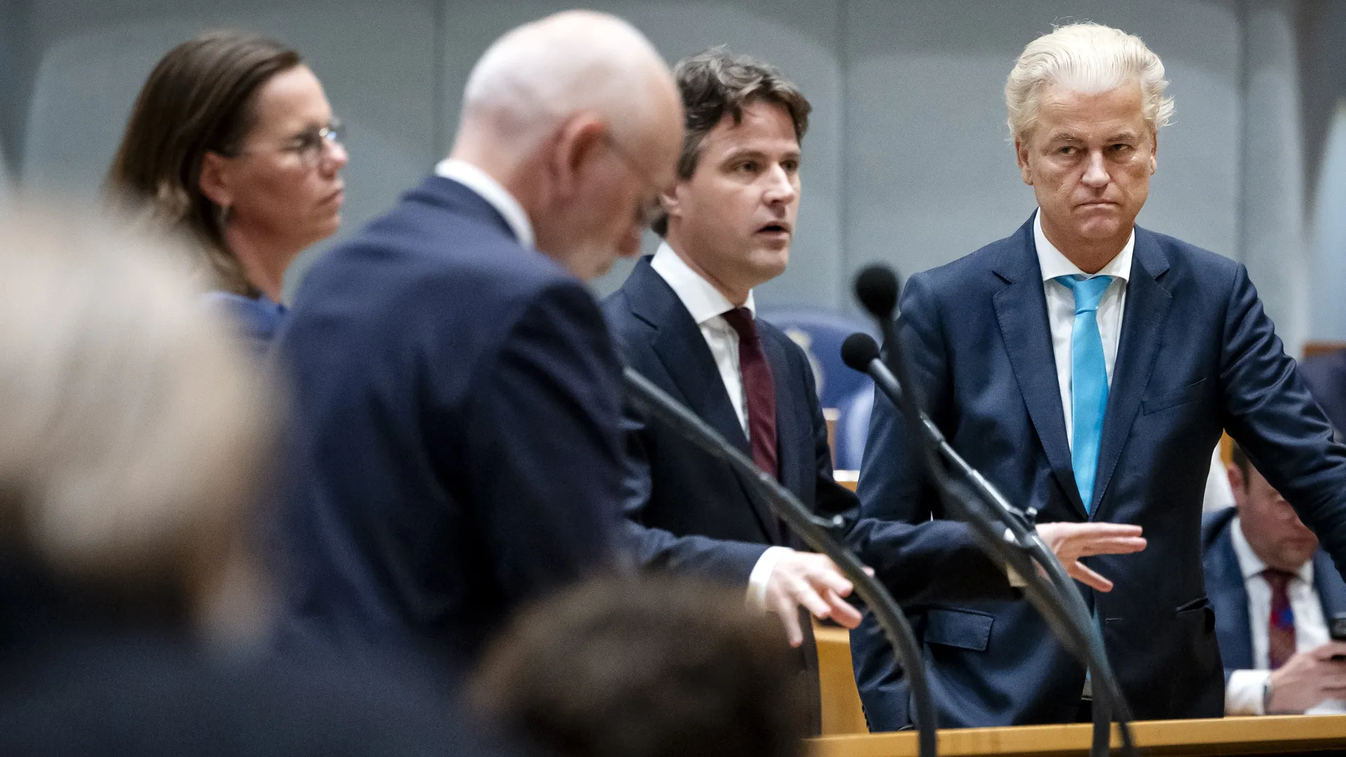 kamerwildersbontenbaltimmermans