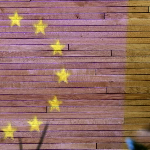 Europees parlement wil dat seks zonder toestemming in heel de EU strafbaar wordt, PVV stemt tegen