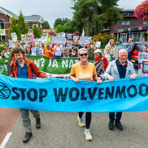 Stropers kunnen ongestoord hun gang gaan in Nederland: tientallen wolven illegaal gedood