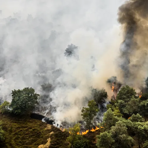 Grote natuurbrand Limburg niet onder controle; blushelikopters ingezet, NL Alert verstuurd