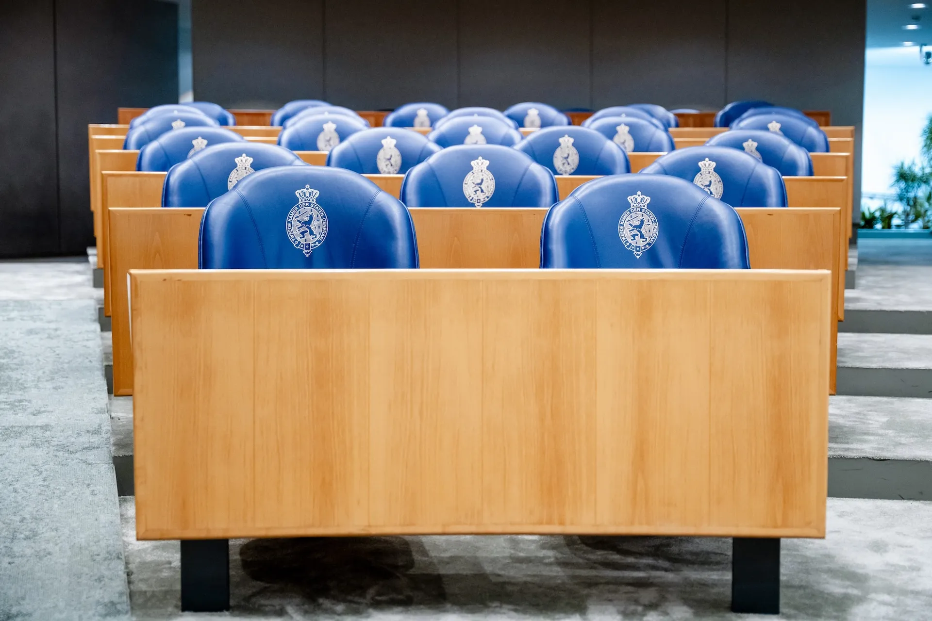 Afbeelding van Een half miljoen vergeten stemmen