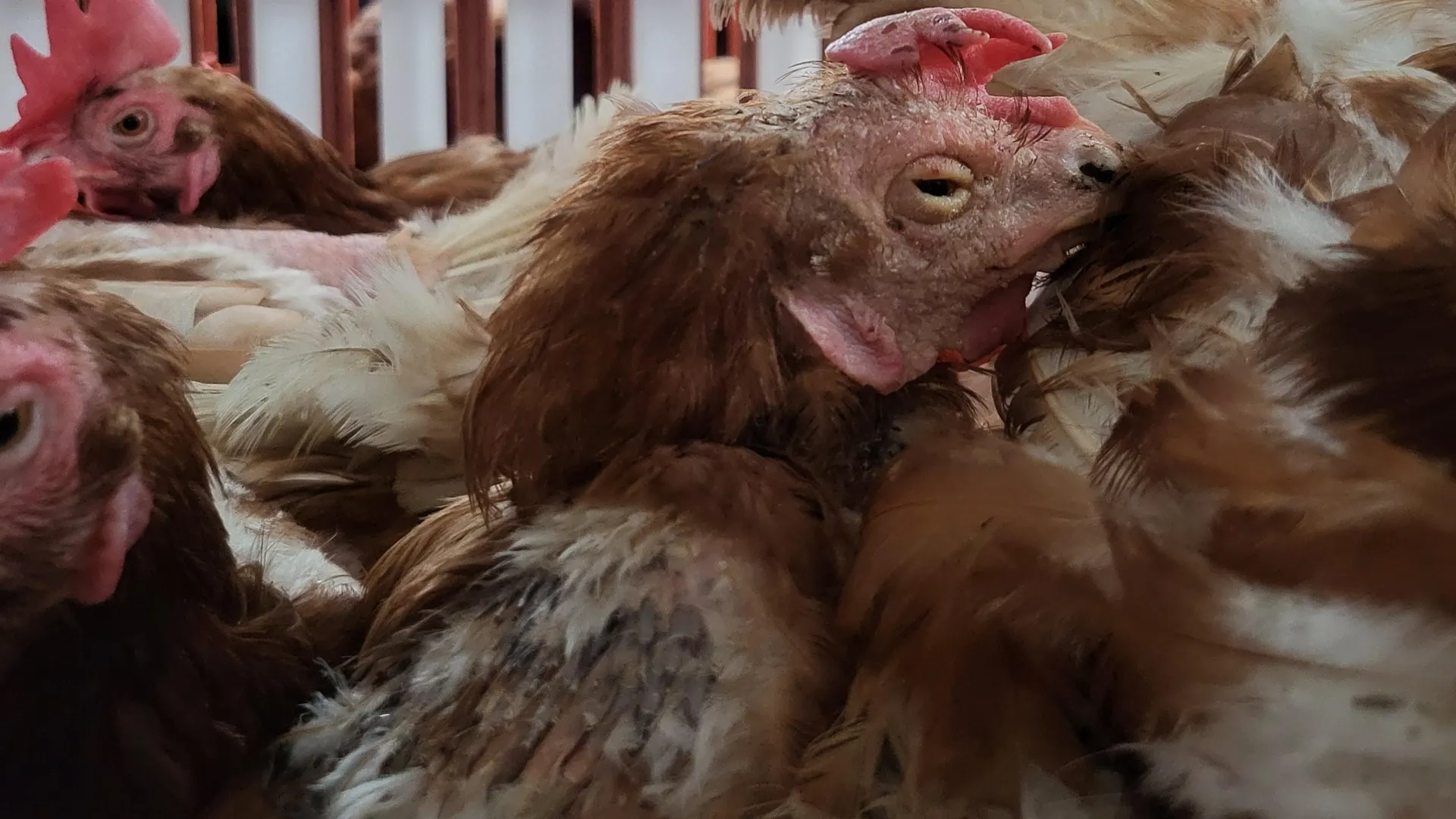 20250902_200808 anders kopie