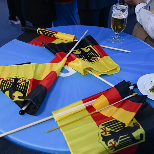 Duitse veiligheidsdienst: AfD Nedersaksen is extreemrechts