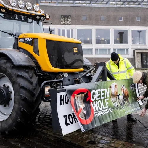 Jagerslobby wint, Europees parlement verlaagt bescherming wolf