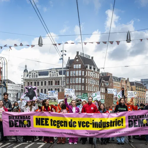 Mensen die weigeren vlees te eten, vormen de voorlopers van een nieuwe beschaving