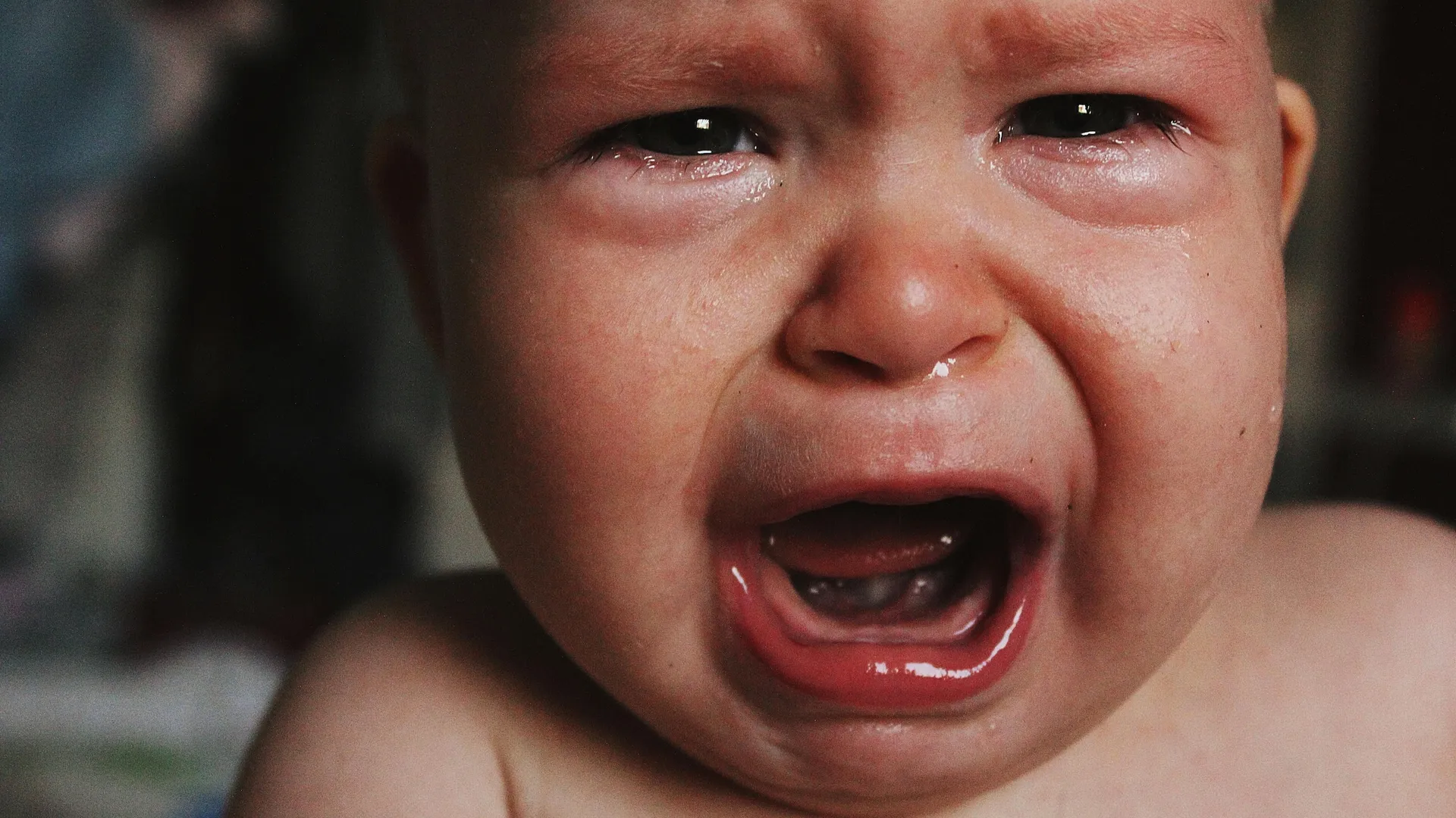 pexels-polina-smelova-80605762-9964634