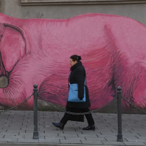 De Roze Olifant staat op het podium van het Eurovisie songfestival