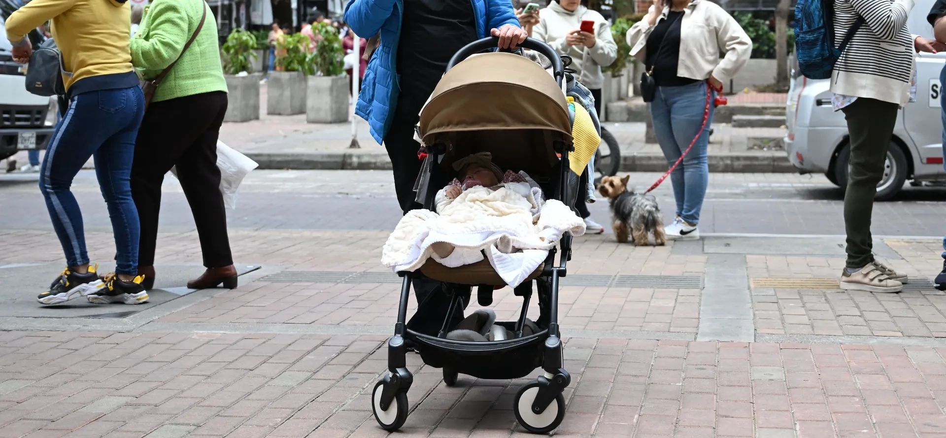 Afbeelding van De economie drijft op kinderloze vrouwen