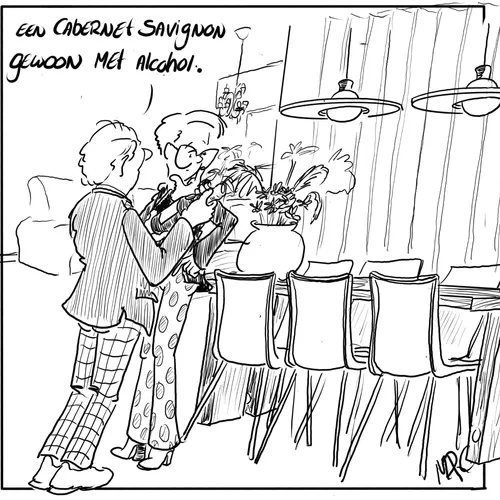 Wat kun je nog cadeau doen?