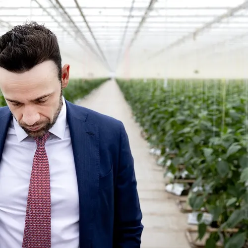 Kabinet wil wolven bang gaan maken, verjagen en zelfs afschieten