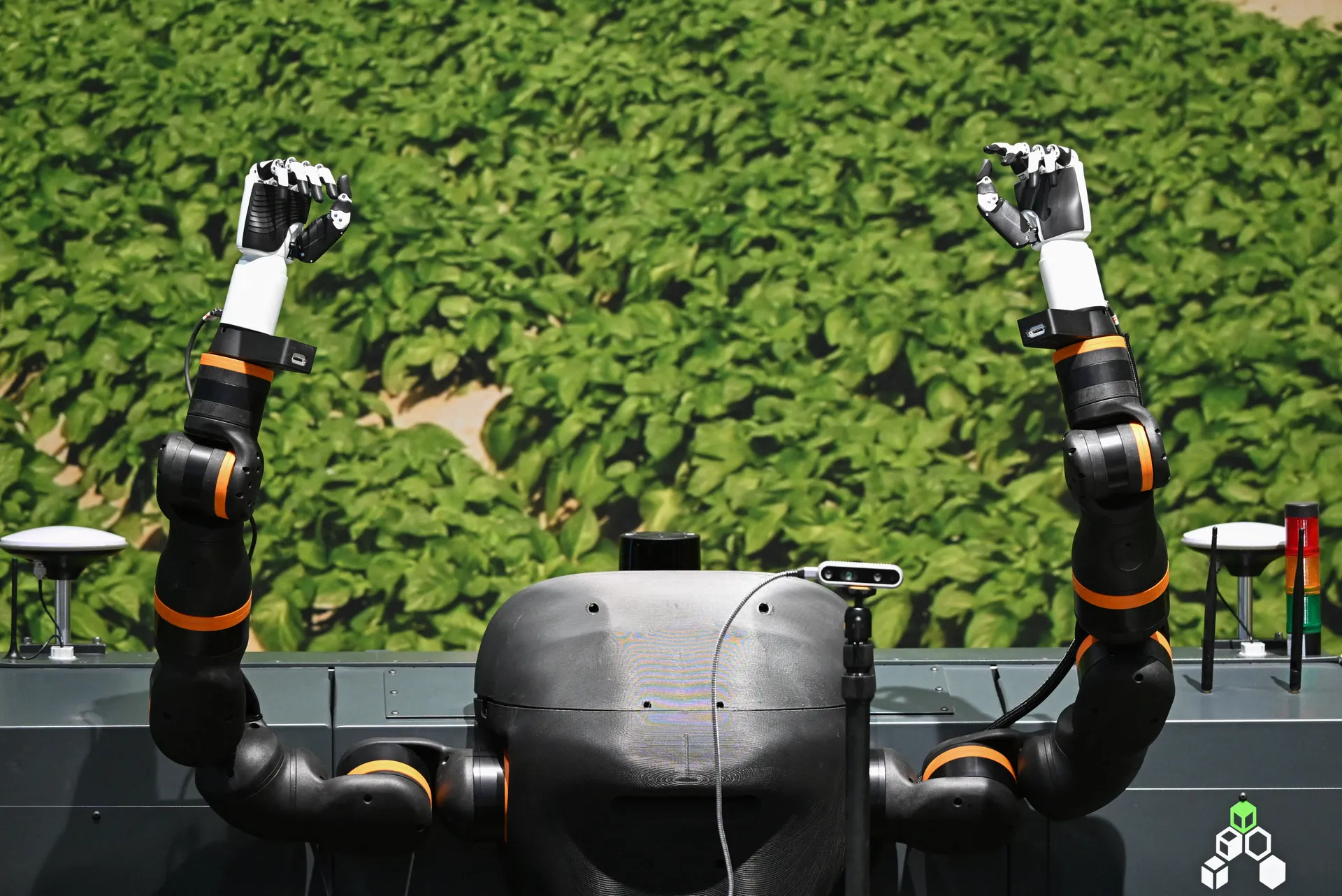 Afbeelding van Over 50 jaar is ieder denkbaar beroep op zijn minst deels vervangen door AI en robots