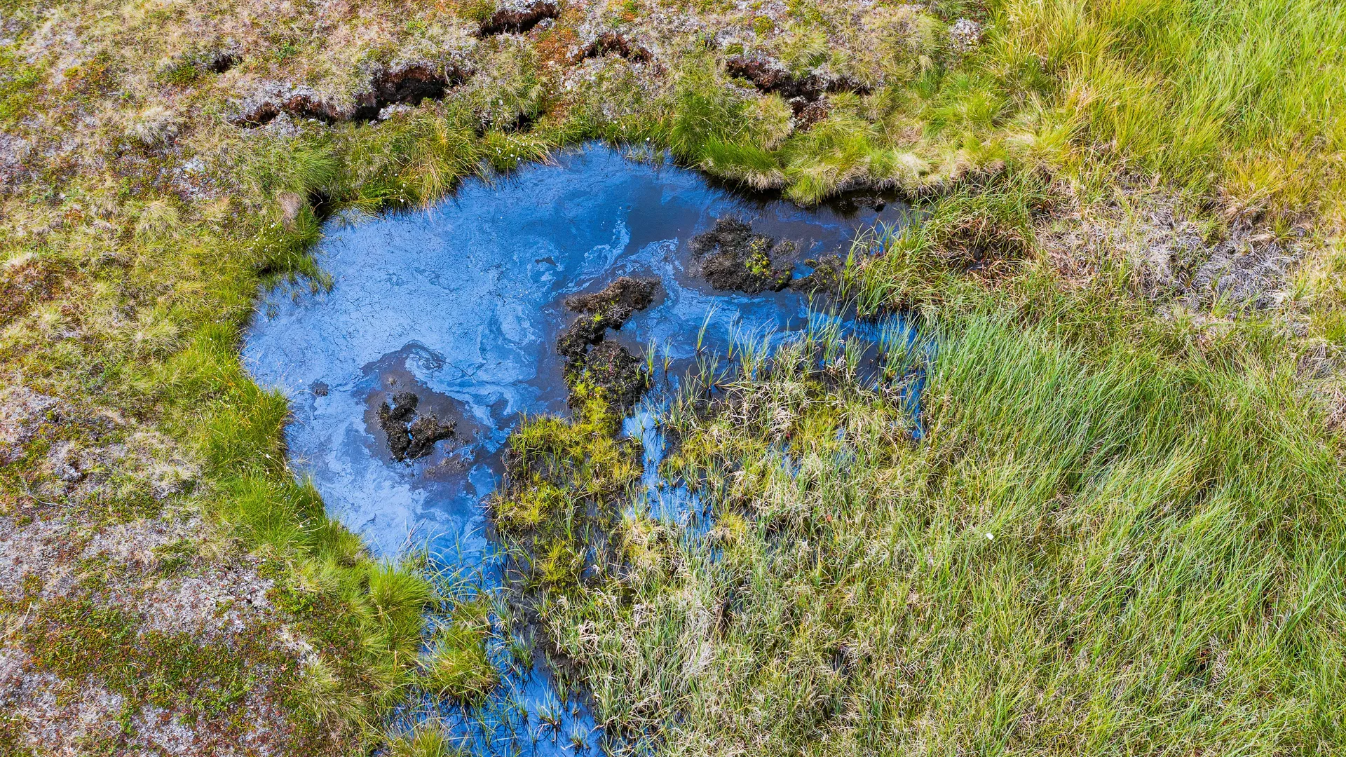 zwedennatuur
