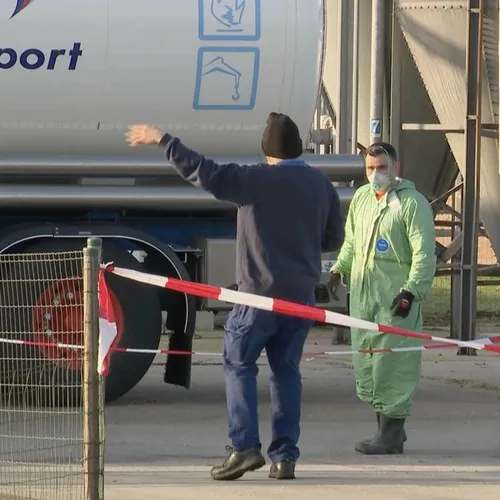 Boer mag 17.400 kalkoenen hebben, maar bij uitbraak vogelgriep bleek hij er opeens 24.000 te hebben