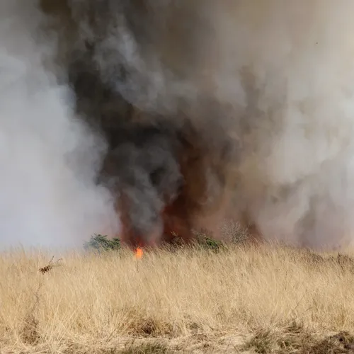 De desastreuse gevolgen van Defensie voor klimaat en natuur