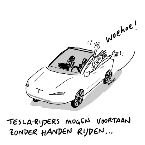 RDW geeft groen licht voor zelfrijdende Tesla’s