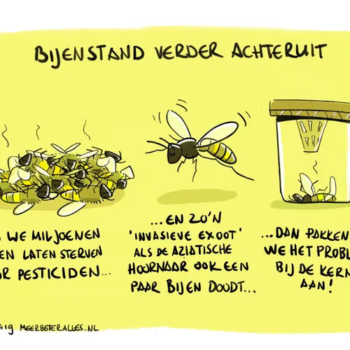 Geelpoothoornaar doodt bijen, maar weet je wie ook....
