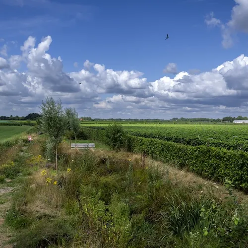 Van wie is Nederland eigenlijk?