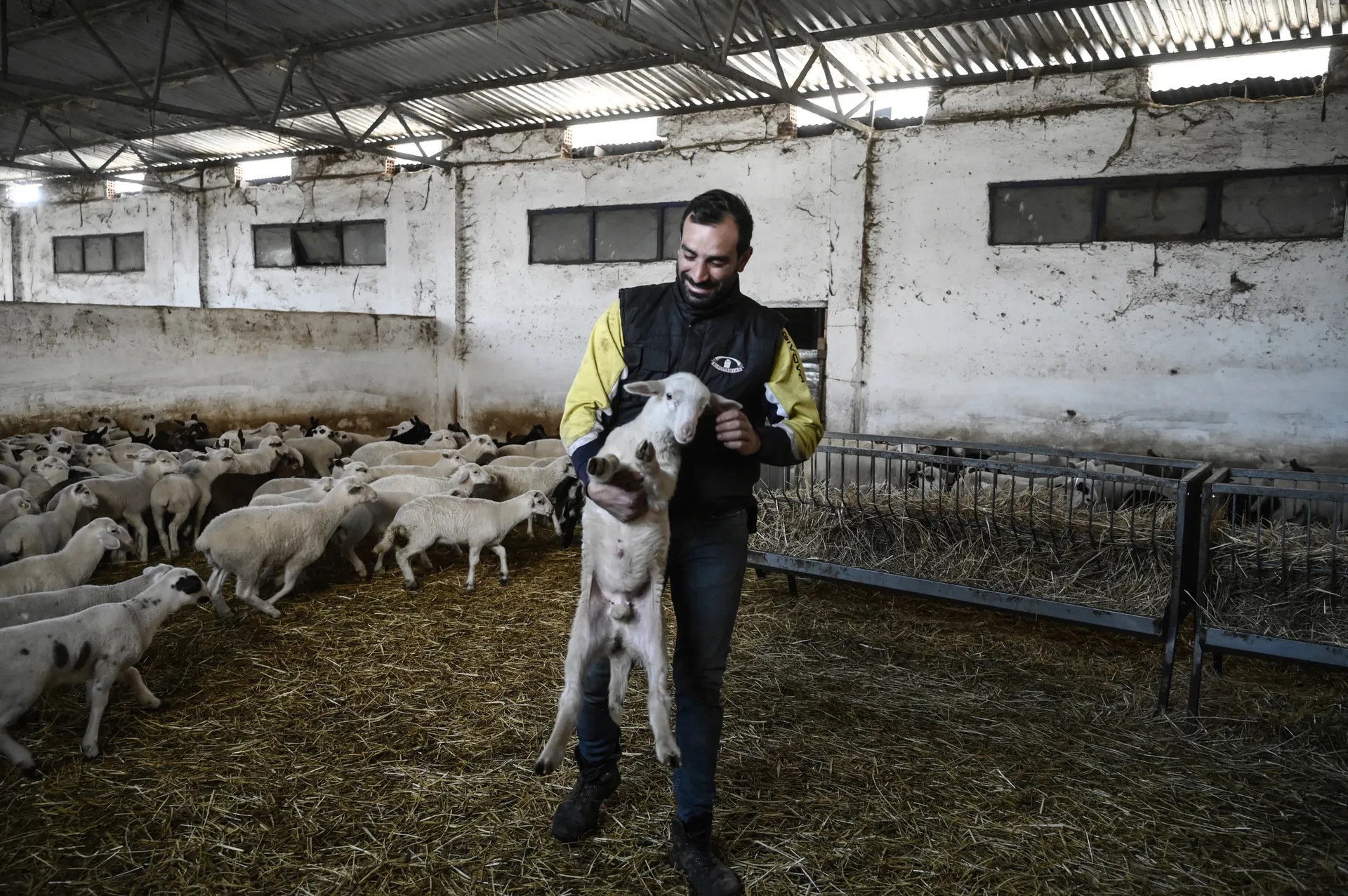 Afbeelding van Er dreigt een tekort aan feta