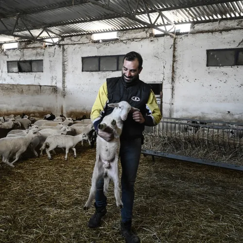 Er dreigt een tekort aan feta