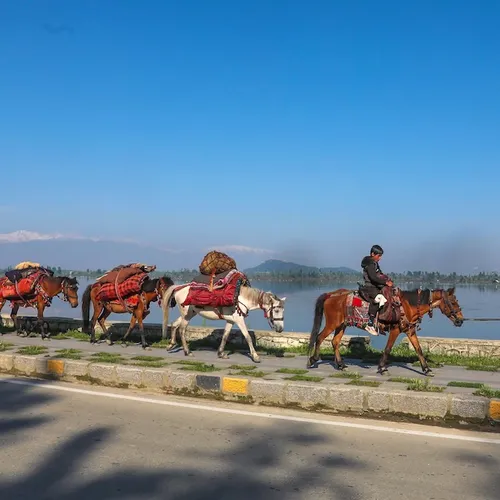 Hier heeft u mijn stemadvies