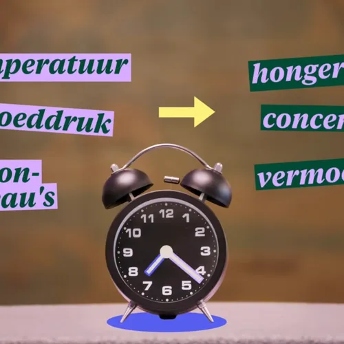 Kippen van de leg door zomertijd maar het is om een andere reden nog erger dan je denkt