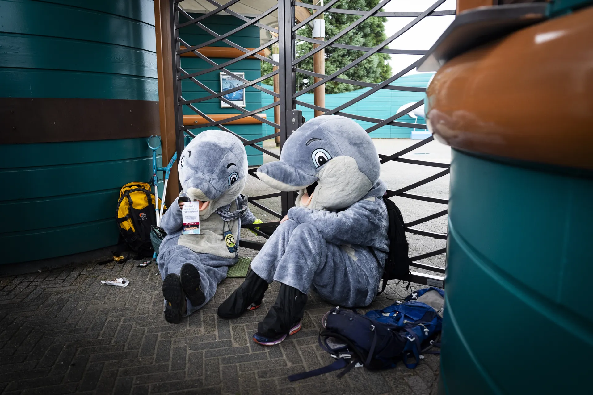 Niet het fokverbod, maar het dolfinarium schaadt het welzijn van dolfijnen